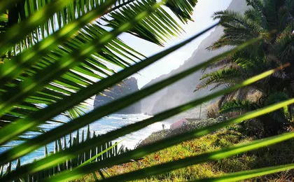 East and Northeast of Madeira in 4x4