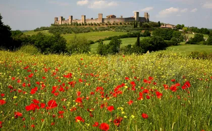 Sunset Wine Tour from Siena to Chianti with Dinner