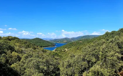 Discover Wonderful Gallura with Lunch