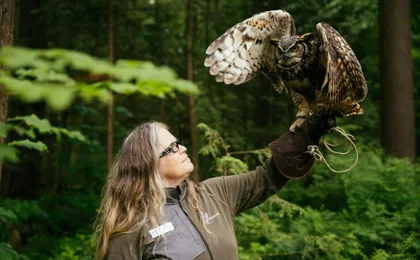 Capilano Suspension Bridge Park tickets