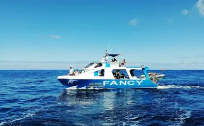 La Palma Coast Cruise with Transfer