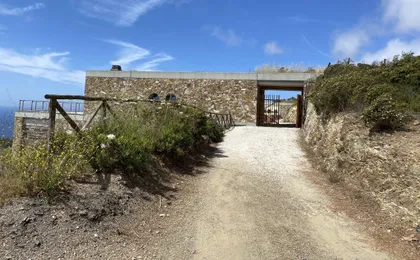 Wine tasting and visit to Ripalte design winery