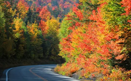 Kancamagus Scenic Highway Self-Driving Audio Tour