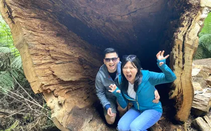 Great Ocean Road bus tour with a forest walk