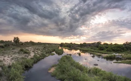 Kruger National Park full-day safari from Hazyview