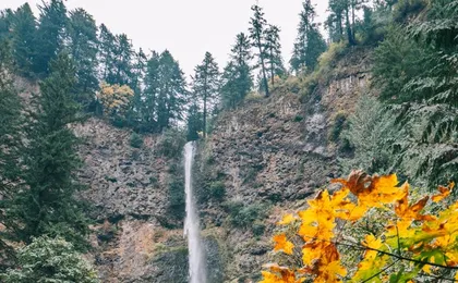 Afternoon half-day to Multnomah Falls and River Gorge Waterfalls