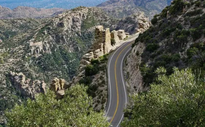 Saguaro National Park and Mt. Lemmon Self-Guided Audio Tour