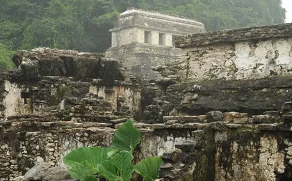 Palenque archaeological site and jungle waterfalls full-day tour from Tuxtla Gutiérrez