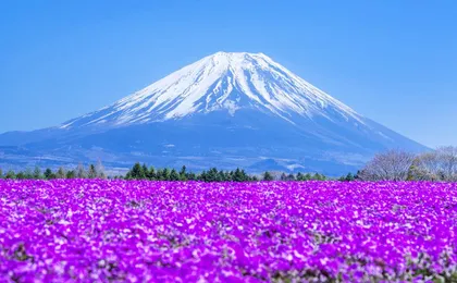 1-day tour to Mt. Fuji, Lake Kawaguchi, Yamanaka and Onsen
