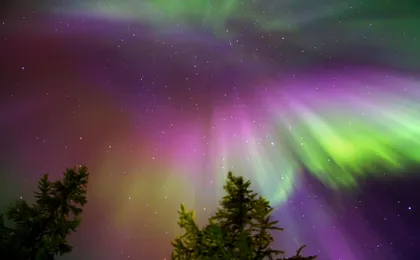 Northern Lights Hunting Tour