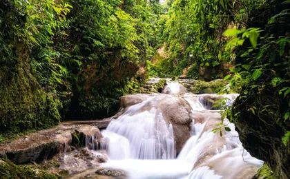 Dunn's River Falls & Blue Hole Tour