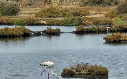 Eastern Algarve small-group 4x4 adventure and Ria Formosa boat trip