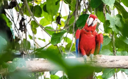 Diamante Eco Park Animal Sanctuary Discovery Ticket