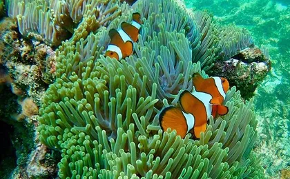 Krabi 7 Islands Snorkeling & Plankton Night by Big Longtail Boat