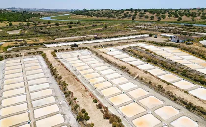 Algarve 4x4 adventure with local tastings and river beach swim