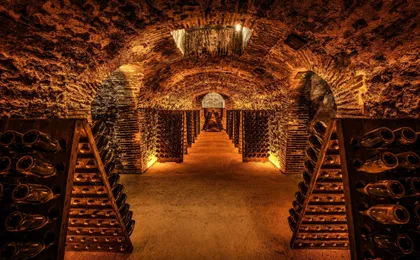 Cellar visit at Boizel Champagne House with Joyau tasting