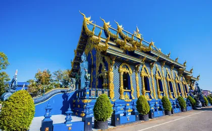 Chiang Rai White Temple and Hill Tribe Village tour from Chaing Mai