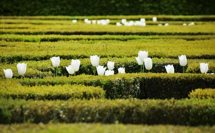 Entrance ticket to Château de Villandry and gardens