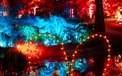 Admire the autumn lights at Sofiero Park