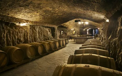 Wine cellar visit and tasting with lunch included  in La Rioja