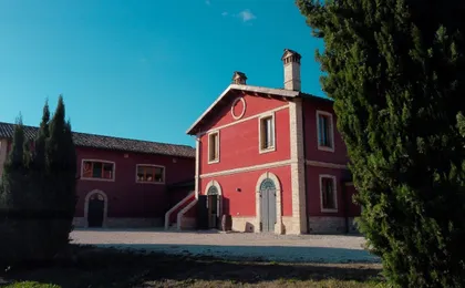 Cantina D'Erasmo Guided Tour with 3 Signature Wine Tastings