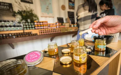Bruny Island safaris, local food tasting and lighthouse tour