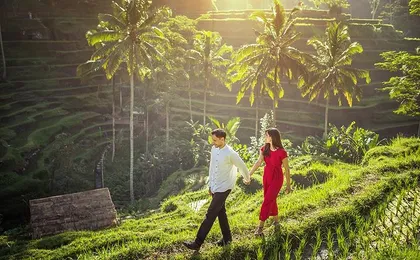 Private Tour : Mount Batur Sunrise Trekking and Rice Terrace with All Inclusive