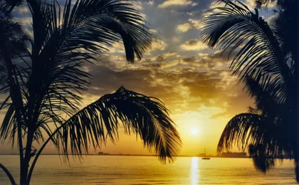 Miami happy hour sightseeing sunset cruise