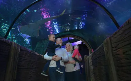 Sea life Blackpool entrance tickets