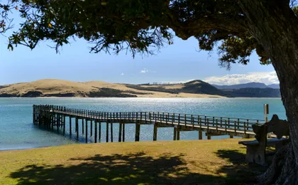 Small group day tour to Bay of Islands from Auckland