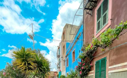 Market day in Bosa with guided tour and free time