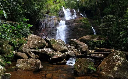 Sinharaja Rain Forest Tour from Tangalle