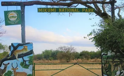 2 Days Mikumi National Park Safari From Dar es salaam or Zanzibar