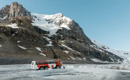 Columbia Icefield and Peyto Lake day tour from Banff