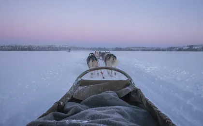 Levi self-driving husky sled tour