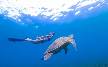 Day trip to discover Koh Tao and Koh Nang Yuan with lunch