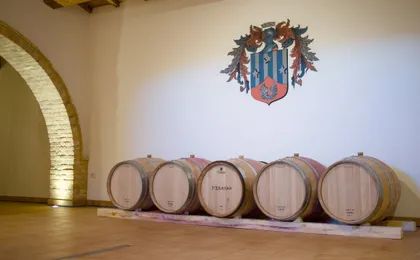 Cantina D'Erasmo Guided Tour with 3 Signature Wine Tastings