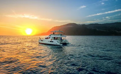 Madeira VIP Whale & Dolphin Watching Cruise