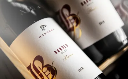 Langhe's wine tour with Nebbiolo, Barbaresco, and Barolo tasting