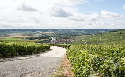 Full-day E-bike Tour in Champagne with Lunch