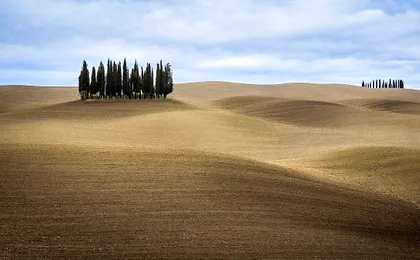 Private Tour - A Day in the Enchanting Val D'Orcia with Wine Tasting