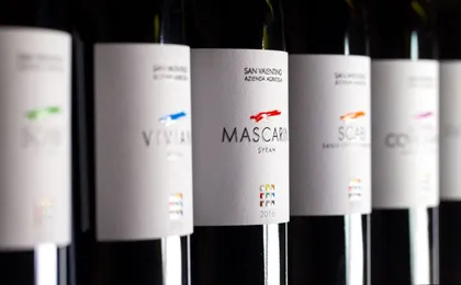 Guided wine tasting tour in San Valentino vineyards