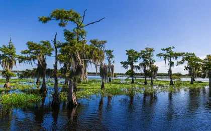 Audio-guided driving tour to Everglades National Park