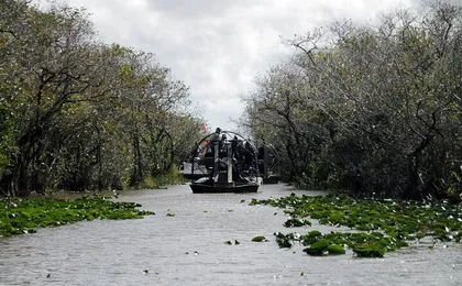 Everglades National Park full-day tour with round-trip transfer
