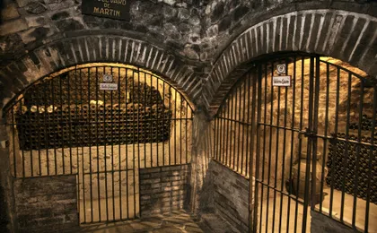 Tour to two wineries in La Rioja from Pamplona