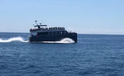 Berlenga island trip, glass-bottom boat cave tour and snorkeling
