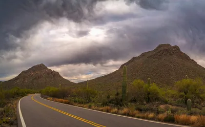 Saguaro National Park and Mt. Lemmon Self-Guided Audio Tour