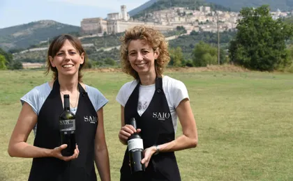 Winery of Assisi guided tasting with 5 wines and lunch