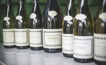 Domaine Clotilde Davenne winery tour in English and Chablis tasting
