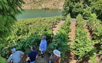 Full-day wine tour of Douro Valley